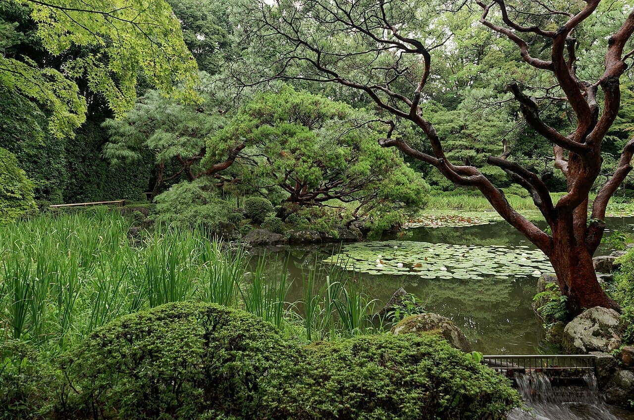庭