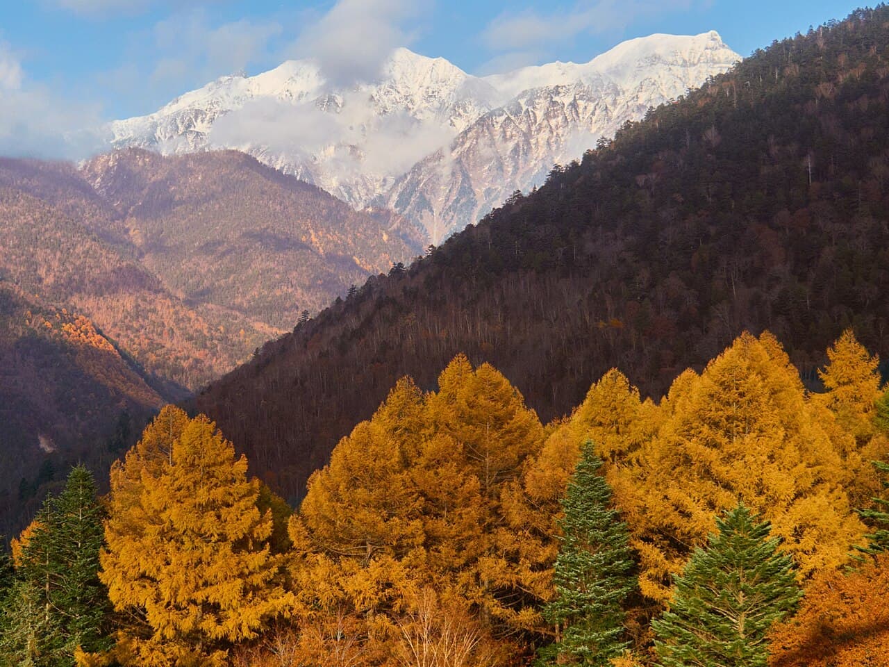 紅葉