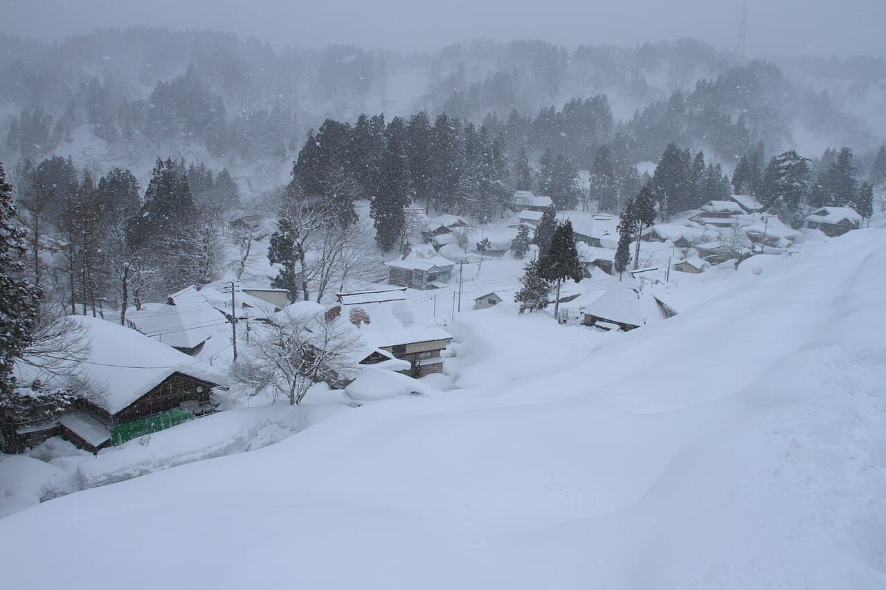 雪の朝